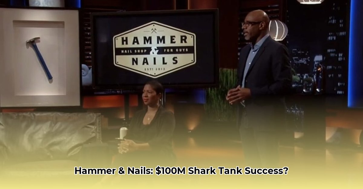 hammer-and-nails-shark-tank-net-worth